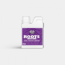 Roots Boom