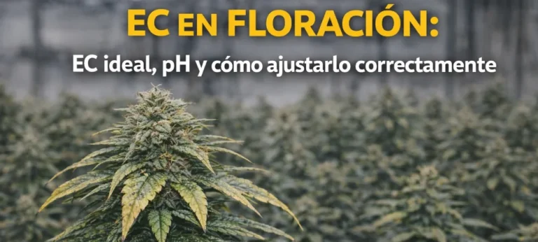 control del ec en floración mostrando el ec ideal y la relación entre ph y ajuste nutricional en el cultivo